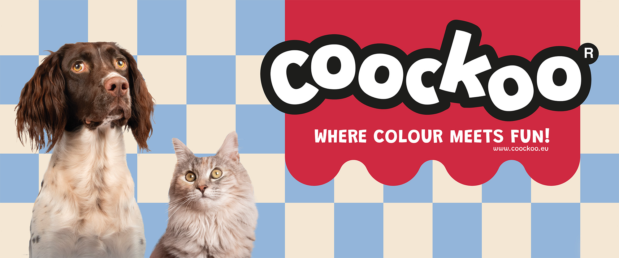 NOUVEAU : Coockoo – Où la couleur rencontre le plaisir !