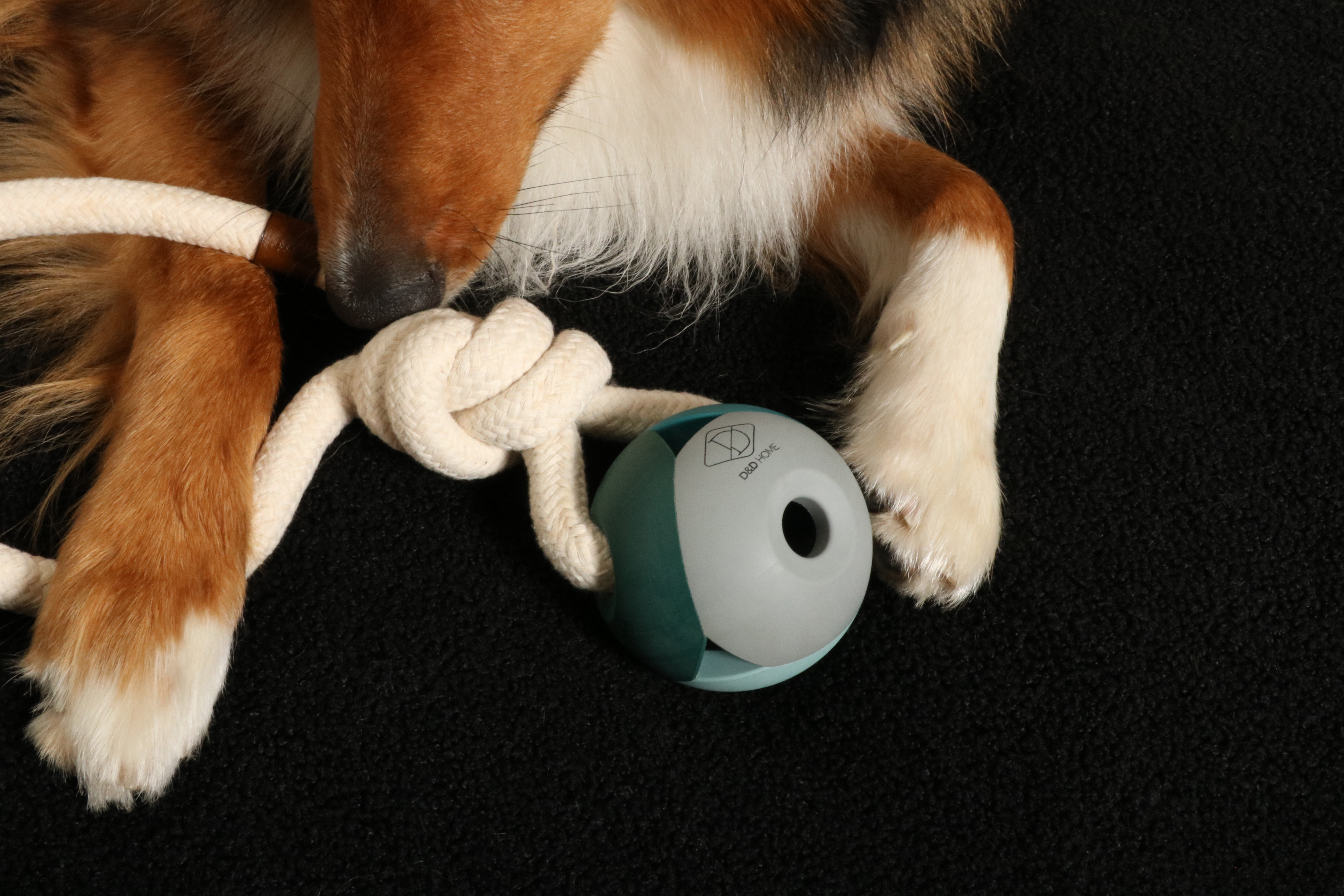 The ultimate chewing and playing pleasure: rubber dog toys with cotton rope from D&D Home